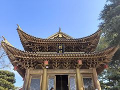-上海东林寺(金山区)