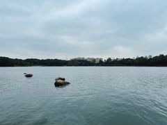 -美兰湖景区