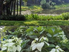 -云溪植物园