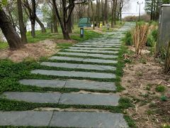 -沙青(江场二路店)