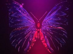 -宝乐星量贩KTV(莲升路店)