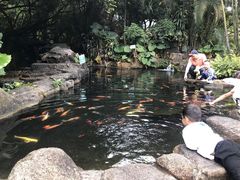 -青青世界
