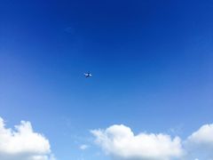 -龙头岩(Dragon Head Rock)