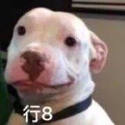 -浙江越秀外国语学院