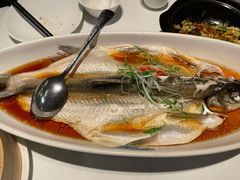 清蒸太湖白鱼-翡翠江南(国贸商城店)