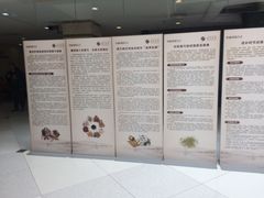 -上海中医药大学附属曙光医院(东部)