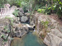 -广州市流溪河国家森林公园