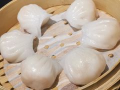 -高第街56号融合餐厅(振华五星百货店)