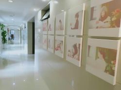 -大美母婴月子中心(馨乐庭店)