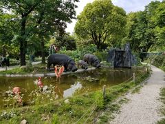 -无锡动物园·太湖欢乐园