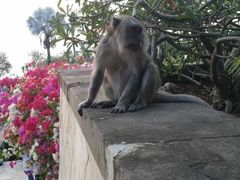 -Rock Bar Bali(Bali)