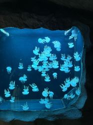 -Zoolung Zoolung动物主题公园(海信广场店)