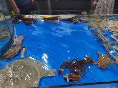 -永红源·啤酒烧烤海鲜大排档(台柳路店)
