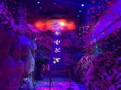 -韶山毛泽东同志故居