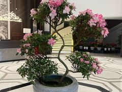 -河南省黄河迎宾馆