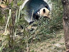 -乐和乐都主题乐园