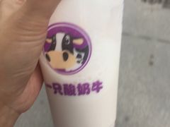 -一只酸奶牛(奎星楼店)