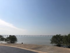 -宝安西湾红树林湿地公园