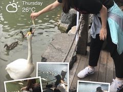 -上海怡沁园度假酒店