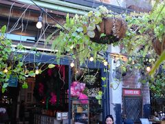 -The Grounds of Alexandria