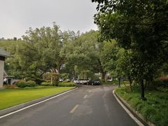 -杭州花家山庄