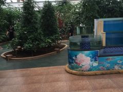 -兰陵国家农业公园