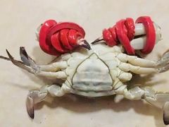 -盛华世家商业广场农贸水产综合批发市场