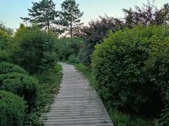 -阿尔丁植物园