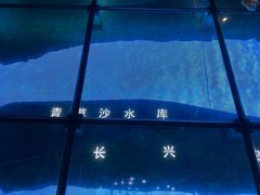 -上海长江河口科技馆