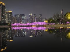 -西北湖绿化广场