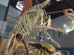 -湖南省地质博物馆