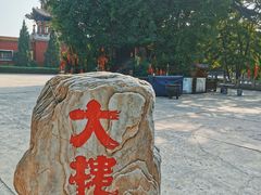 -大槐树寻根祭祖园