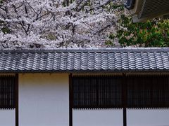 -醍醐寺