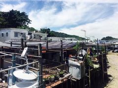 -大澳渔村及棚屋