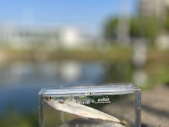 -蓝天路(地铁站)