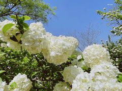 -合肥三国新城遗址公园