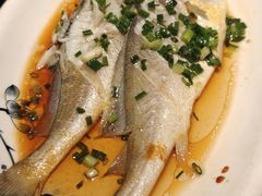 臭黄鱼-富临轩私房菜(集庆门大街店)