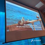 怎么会有这么适合约会的地方