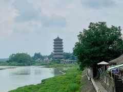 -都江堰中华大熊猫苑