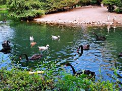 -长白岛森林公园