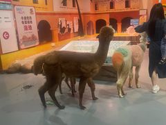 -顺德南宏海立方海洋公园