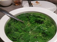 -醉庐·新上海菜(南京西路店)