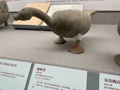-北京大学赛克勒考古与艺术博物馆