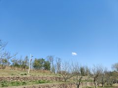 -白鹭湾湿地公园