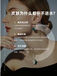 点击看大图 -玛莲朵·海菲秀冰珀科