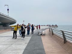 -演武大桥观景平台