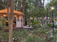 -二荆条·蜀鲜汇城市森林火锅