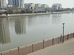 -宏运厨房·海鲜青岛菜·生日宴(城市阳台店)
