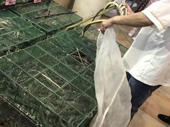 -荔城生鲜盛宴(番禺旗舰店)