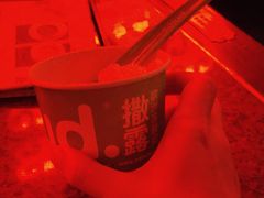 冻酸奶-Salud撒露欧洲冻酸奶(蓝色港湾店)
